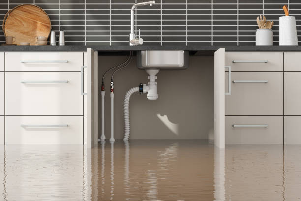 Best Flood Cleanup and Water Removal in Norwalk, CA